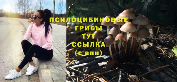 ALPHA PVP Алексеевка