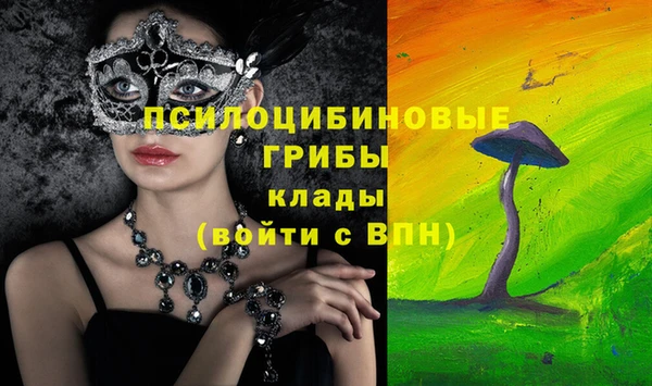 СК Алзамай