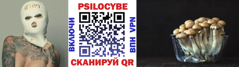 Галлюциногенные грибы Psilocybe Чехов
